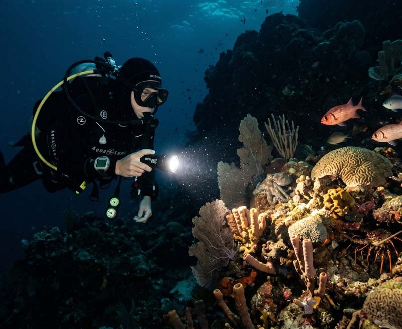 Night Dive in Hurghada